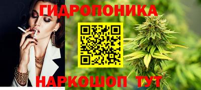 дживик Будённовск