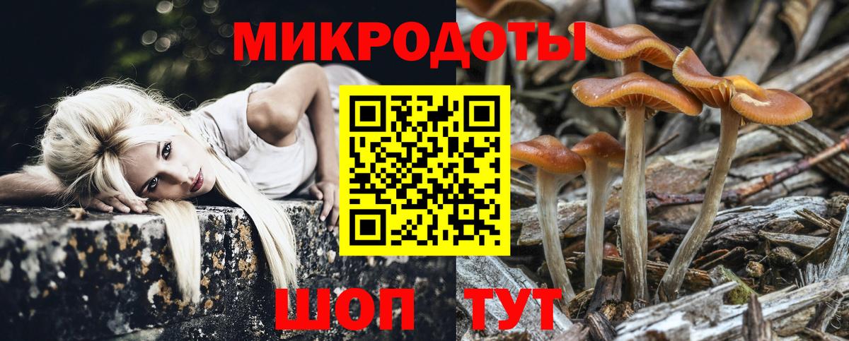 дарнет шоп  Галлюциногенные грибы прущие грибы  Вход с VPN  Ярцево 